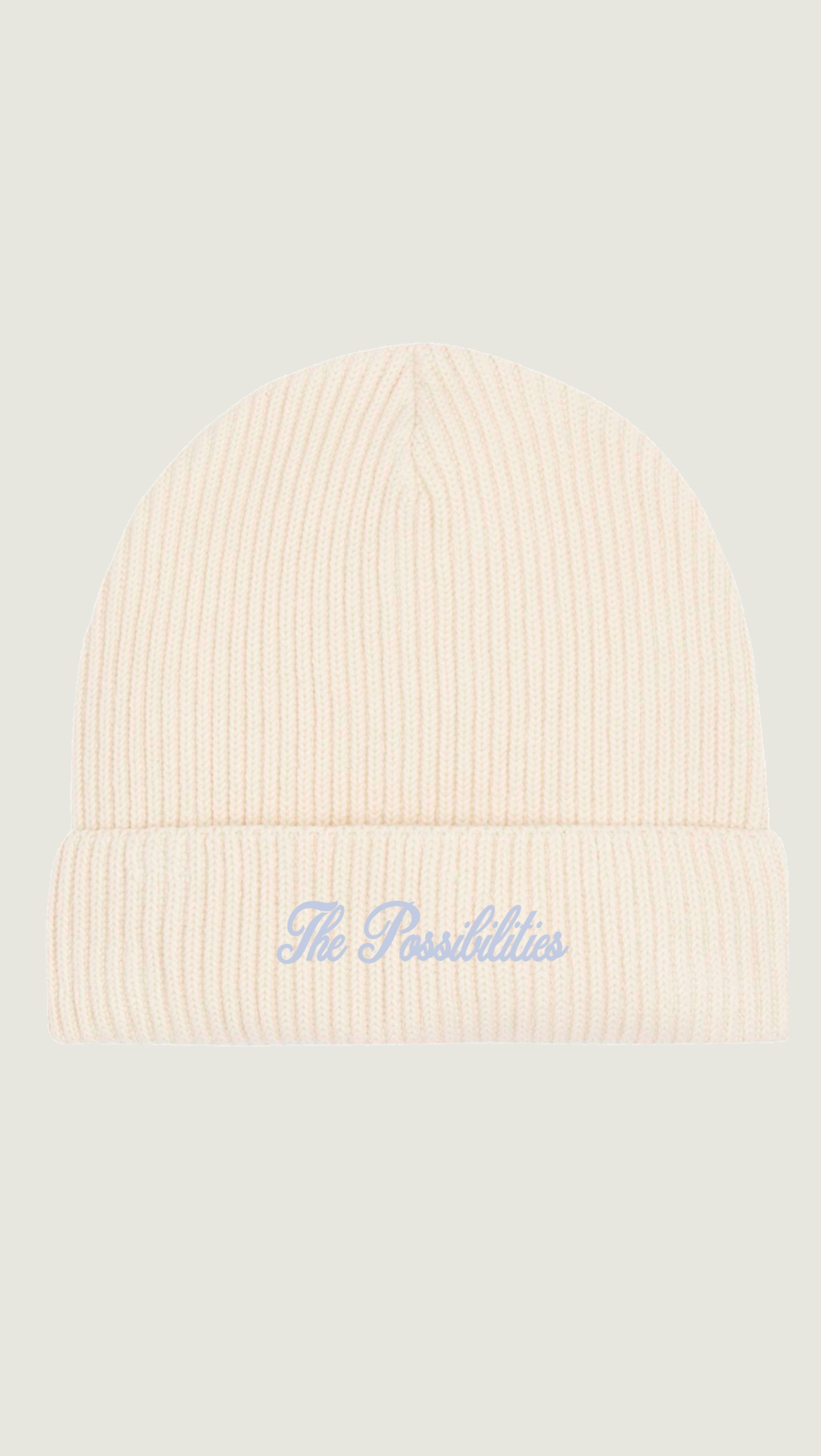 No 65. The Possibilities Beanie 'Bone'