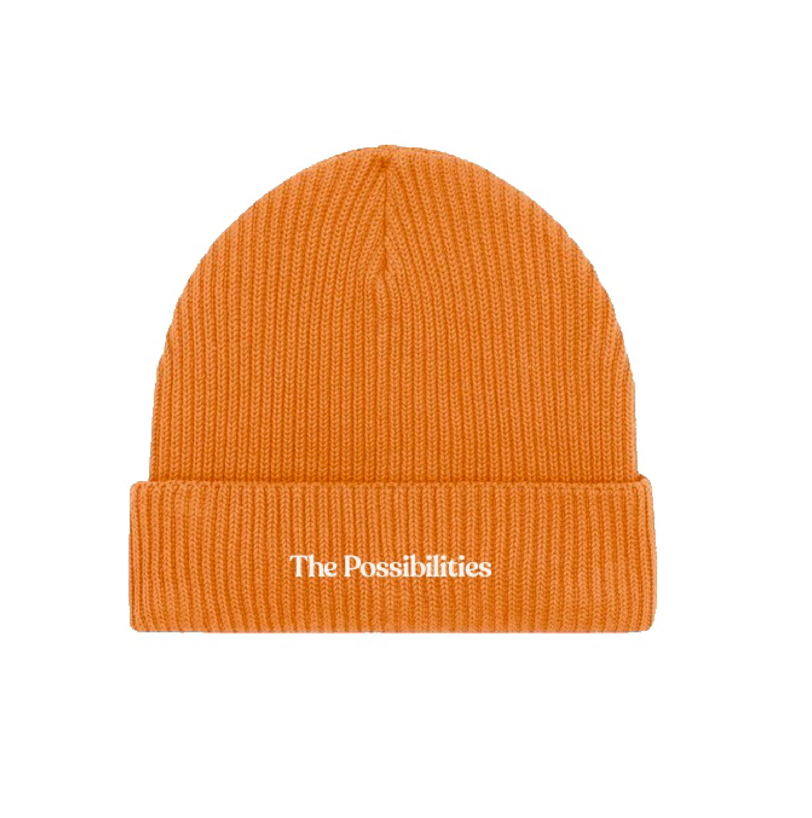 The Possibilities Beanie | Day Fall