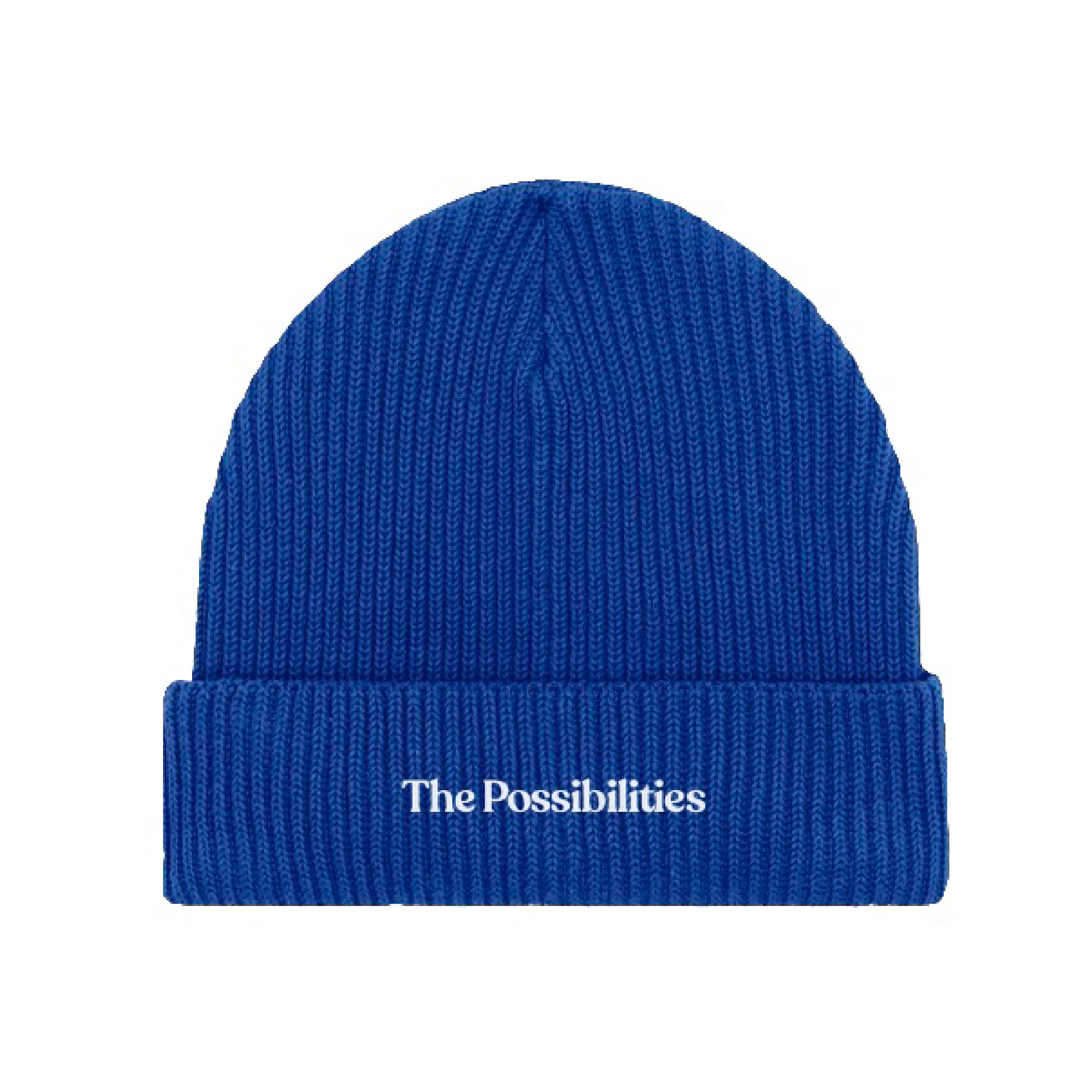 The Possibilities Beanie | Worker Blue