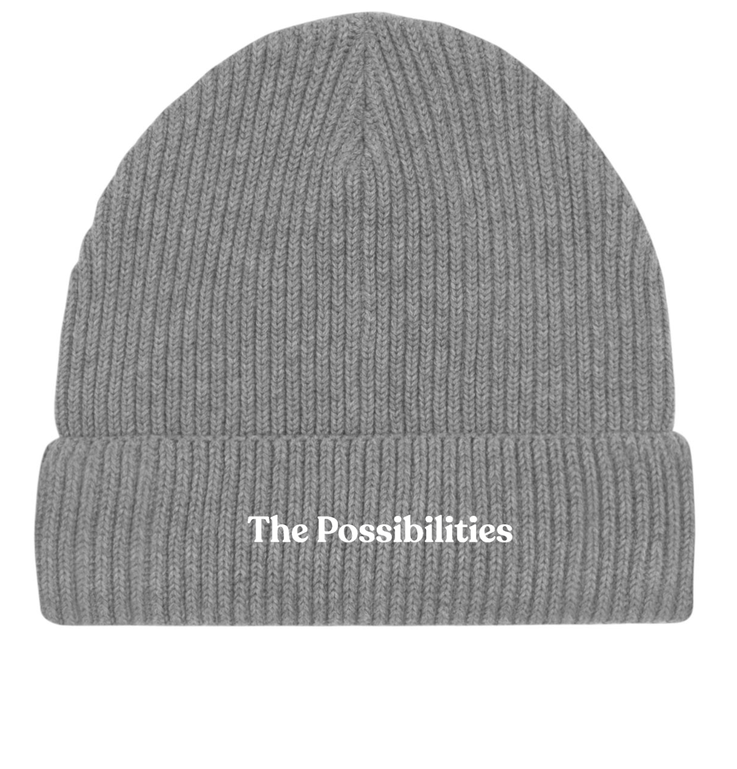 No 13: Logo Fisherman Beanie 'Grey'